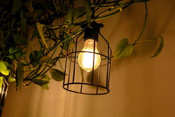The Evolution of LED Lighting