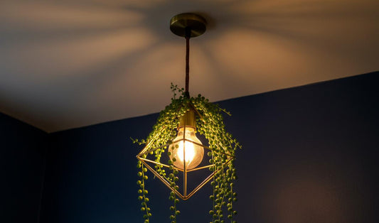 The Evolution of LED Lighting