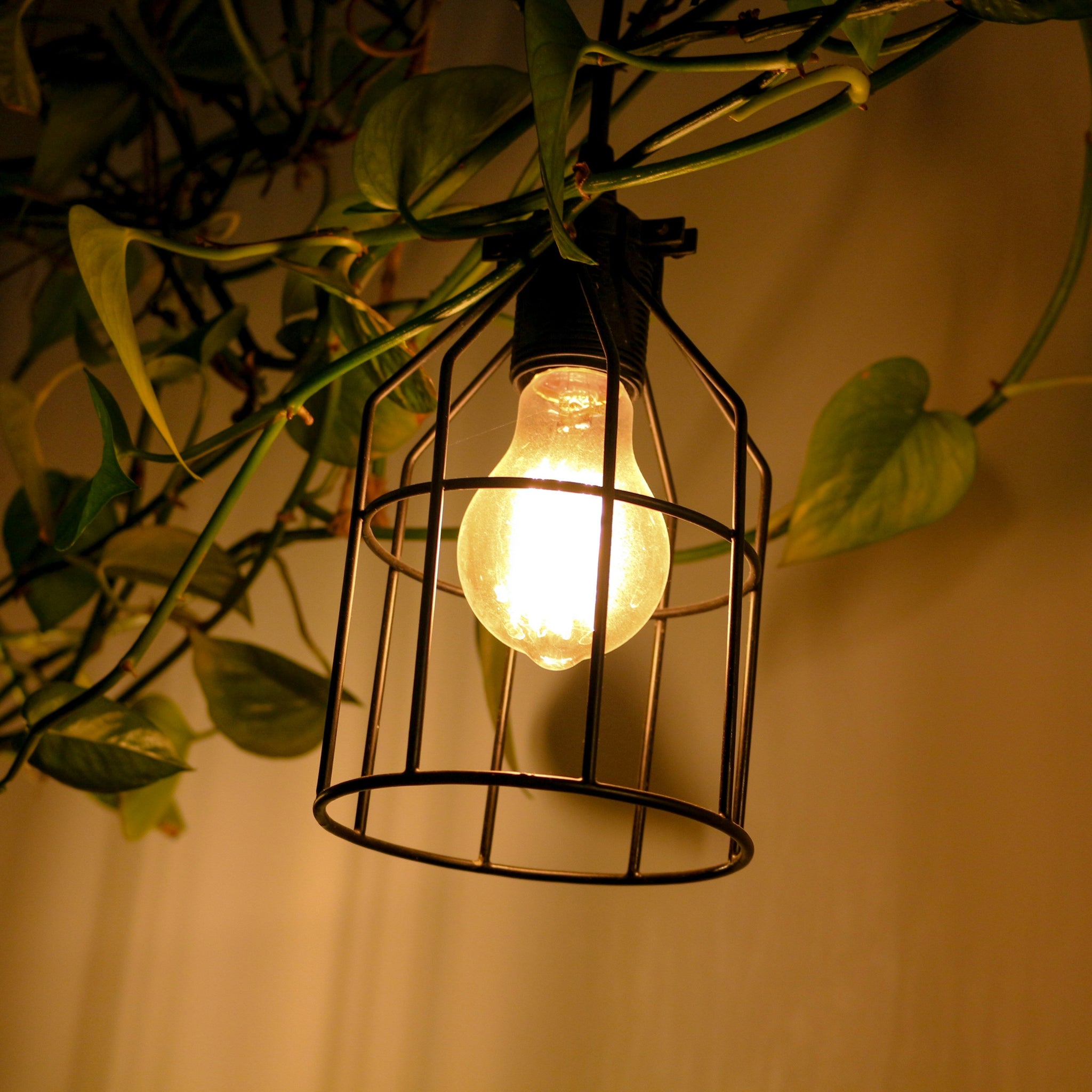 The Evolution of LED Lighting